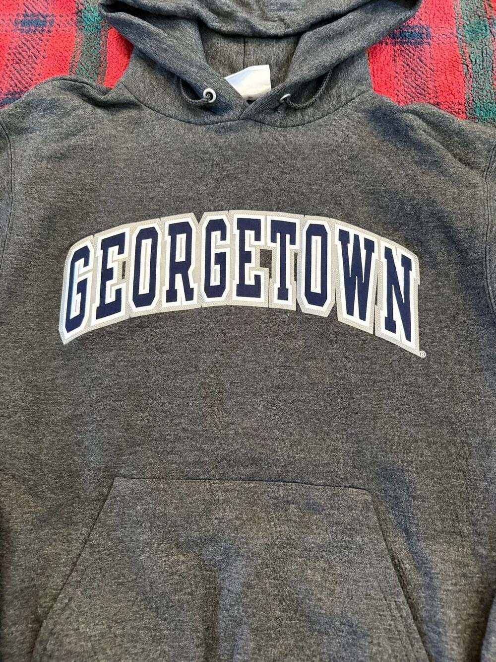 Champion Georgetown University Hoyas Pullover Hoodie - Picture 3 of 5